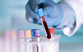 Lab Facility