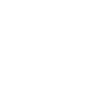 logo-snc-white